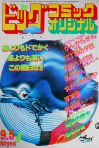 No. 17, 1980