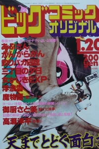 No. 2, 1981