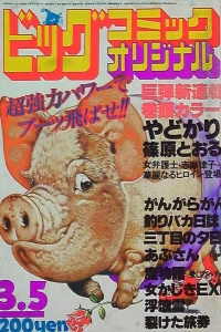 No. 5, 1981