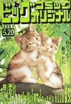 Cover of No. 10, 2007