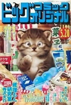 Cover of No. 10, 2009