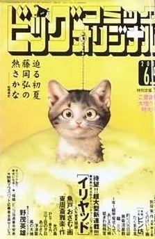 Cover of No. 11, 2002