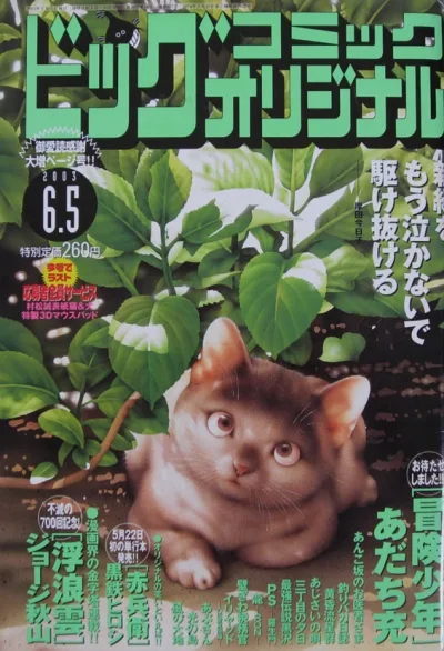 Cover of No. 11, 2003