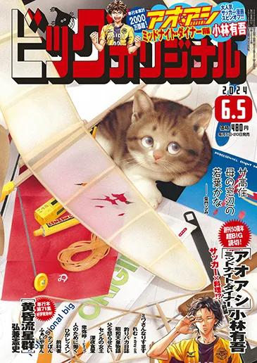 Cover of No. 11, 2024