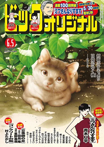 Cover of No. 11, 2025