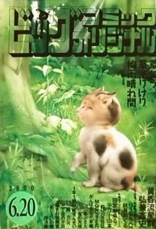 Cover of No. 12, 2000