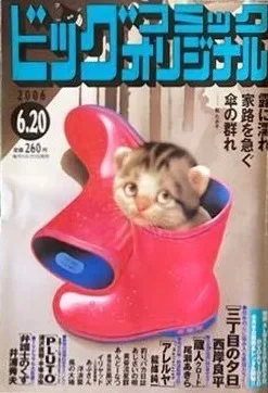Cover of No. 12, 2006