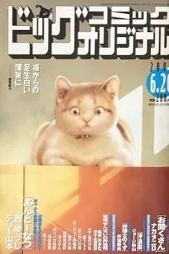 Cover of No. 12, 2009