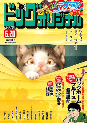 Cover of No. 12, 2024