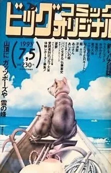 Cover of No. 13, 1993