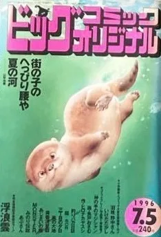 Cover of No. 13, 1996