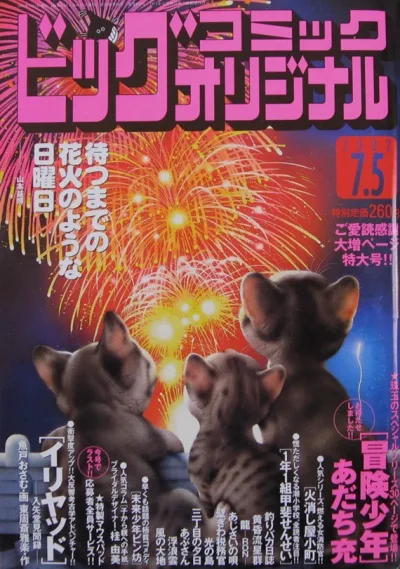 Cover of No. 13, 2002