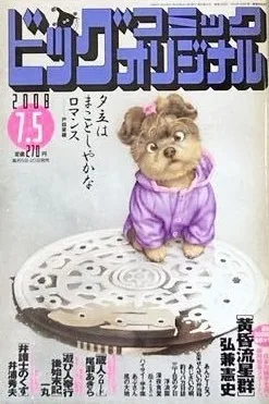 Cover of No. 13, 2008