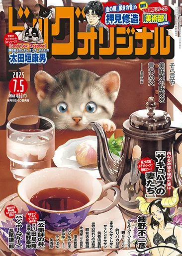 Cover of No. 13, 2025
