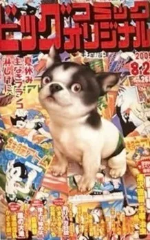 Cover of No. 16, 2005