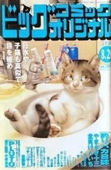 Cover of No. 16, 2006