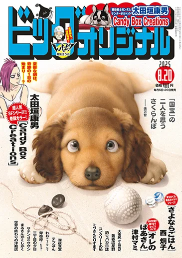 Cover of No. 16, 2025