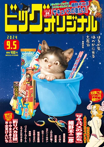 Cover of No. 17, 2024