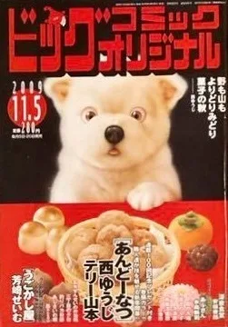 Cover of No. 21, 2009
