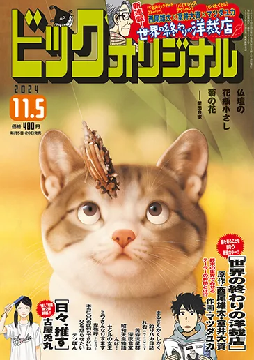Cover of No. 21, 2024