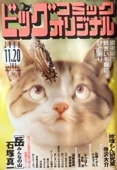 Cover of No. 22, 2009