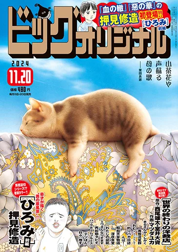 Cover of No. 22, 2024