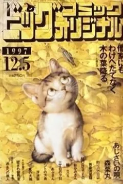 No. 23, 1997
