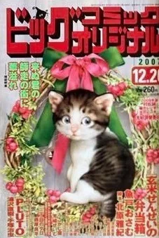 Cover of No. 24, 2007
