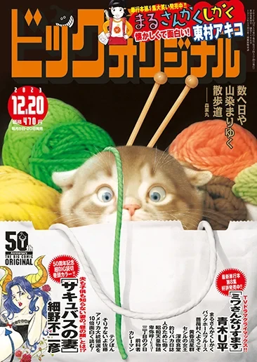 Cover of No. 24, 2023