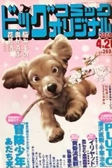 Cover of No. 8, 2005