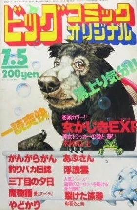 Cover of No. 13, 1981