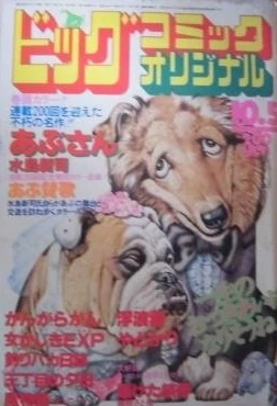 Cover of No. 19, 1981