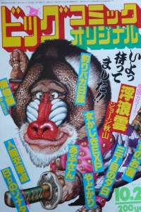 No. 20, 1981
