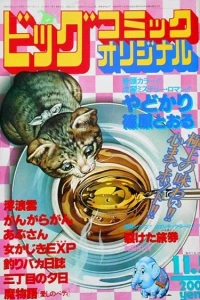 No. 21, 1981