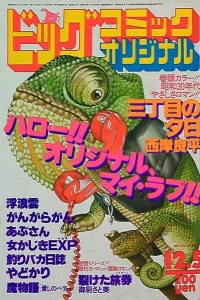 No. 23, 1981