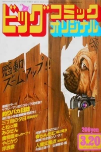 No. 6, 1982