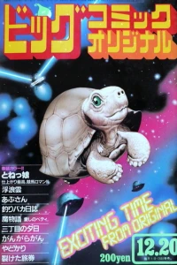 No. 24, 1982
