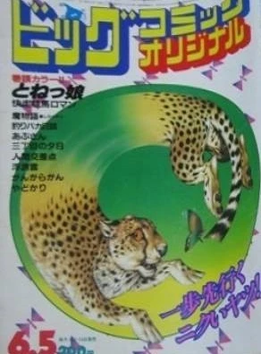 Cover of No. 11, 1983