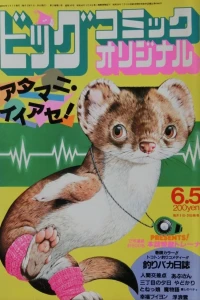 No. 11, 1984