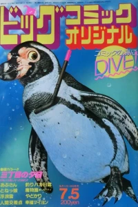 No. 13, 1984