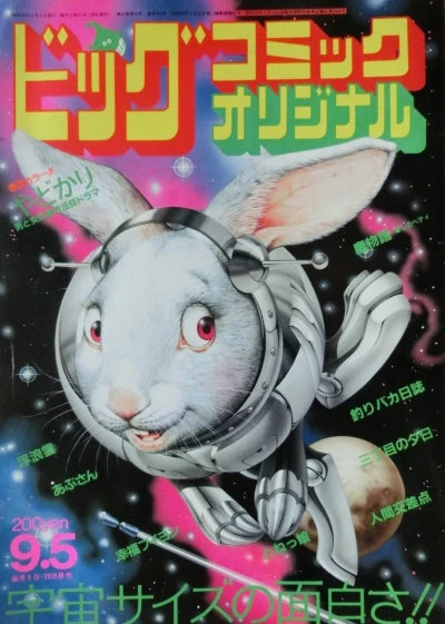 Cover of No. 17, 1984