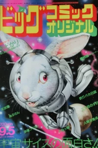 No. 17, 1984