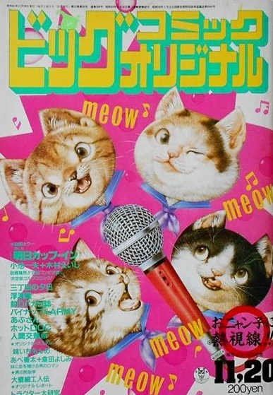Cover of No. 22, 1985