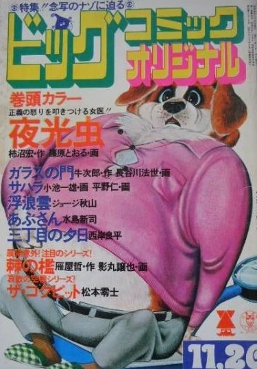 Cover of No. 22, 1975
