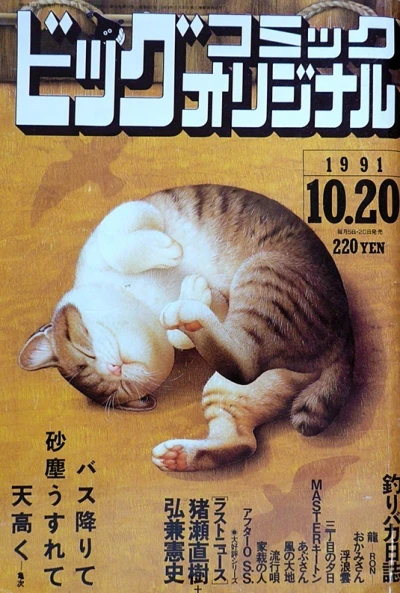 Cover of No. 20, 1991
