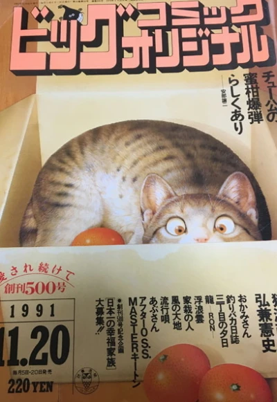 Cover of No. 22, 1991