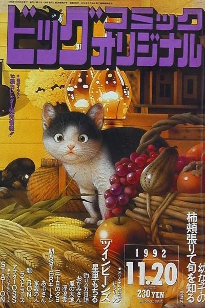 Cover of No. 22, 1992
