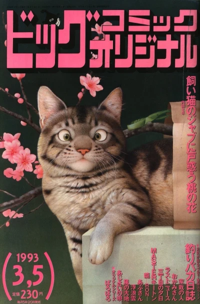 Cover of No. 5, 1993