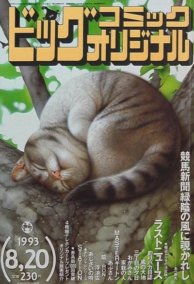 Cover of No. 16, 1993