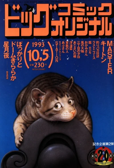 Cover of No. 19, 1993